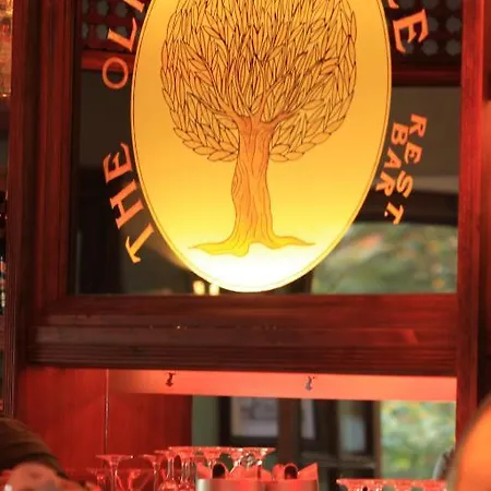 The Olive Tree (adults Only) מלון 3*