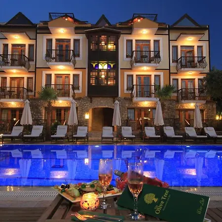 The Olive Tree (adults Only) מלון 3*