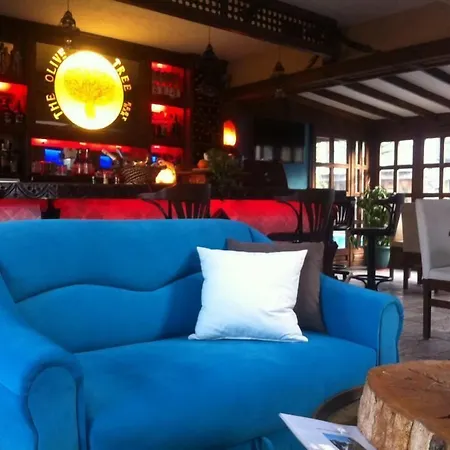 The Olive Tree (adults Only) מלון 3*
