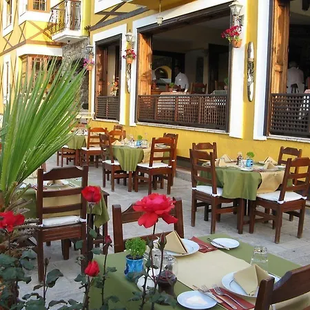 מלון The Olive Tree (adults Only)