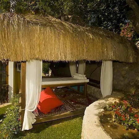 The Olive Tree (adults Only) אולודניץ