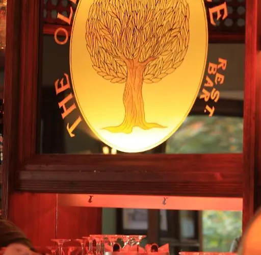 The Olive Tree (adults Only) Otel 3*