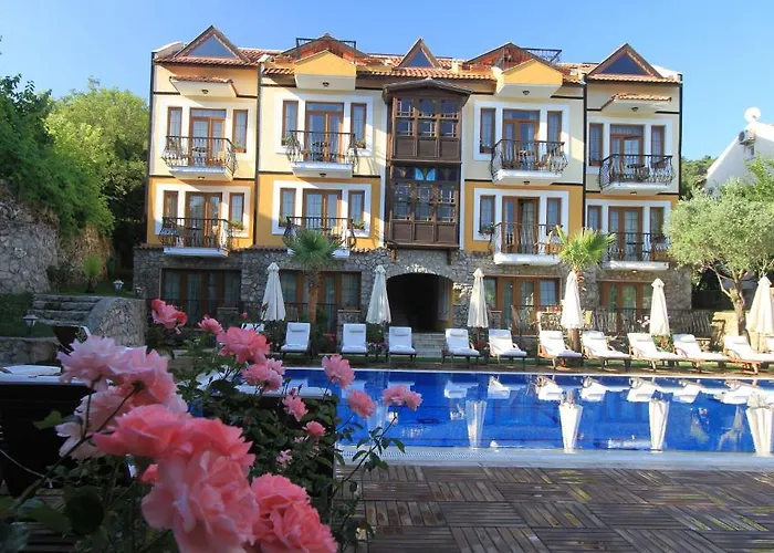 The Olive Tree (adults Only) 3*