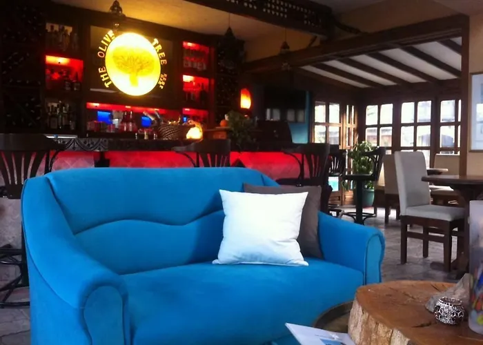 The Olive Tree (adults Only) Otel 3*