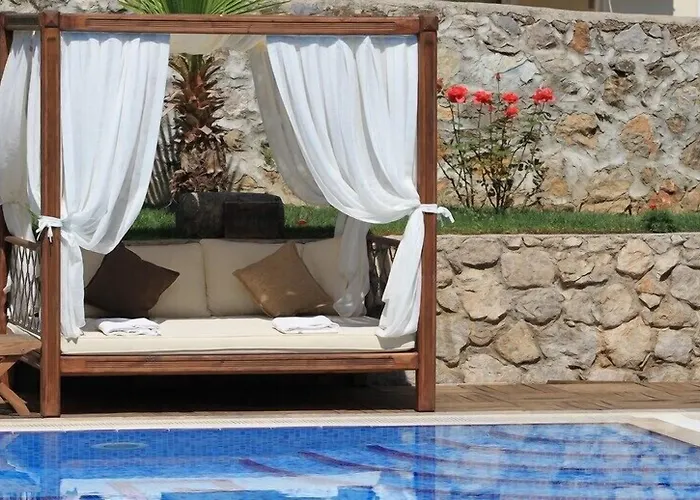 The Olive Tree (adults Only)