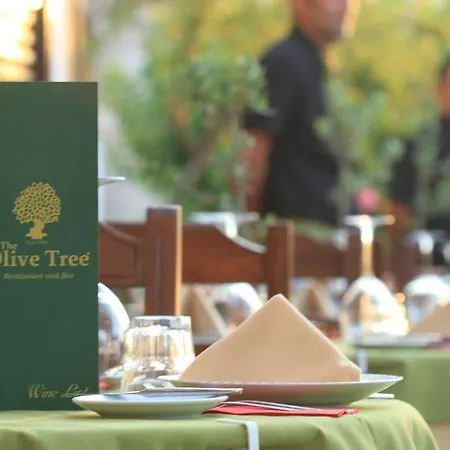 The Olive Tree (adults Only) Hotel Ölüdeniz