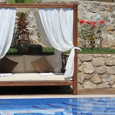 The Olive Tree (adults Only)