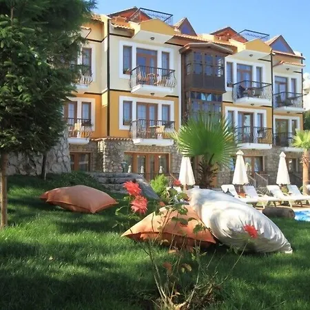 The Olive Tree (adults Only) ホテル 3*