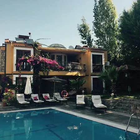 Hotel The Olive Tree (adults Only)