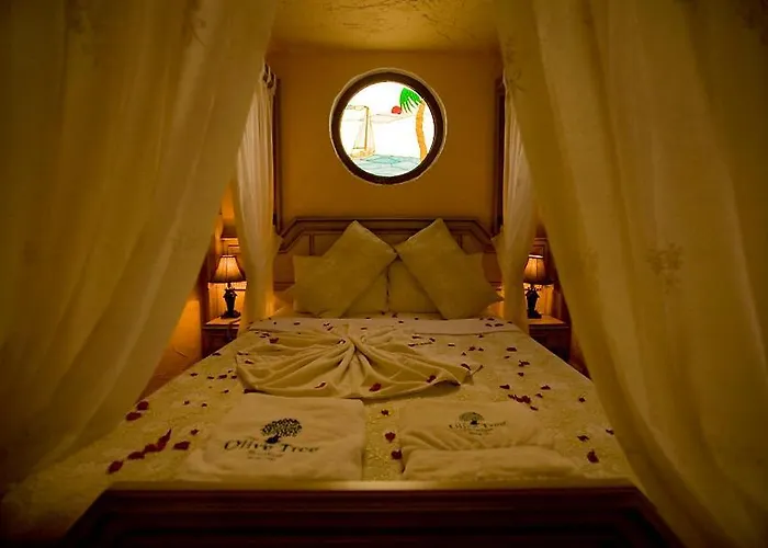 The Olive Tree (adults Only) Hotel 3*