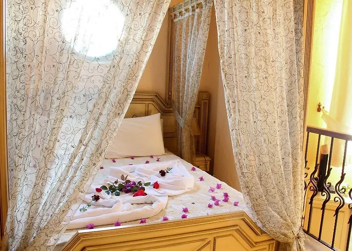 The Olive Tree (adults Only) 3*