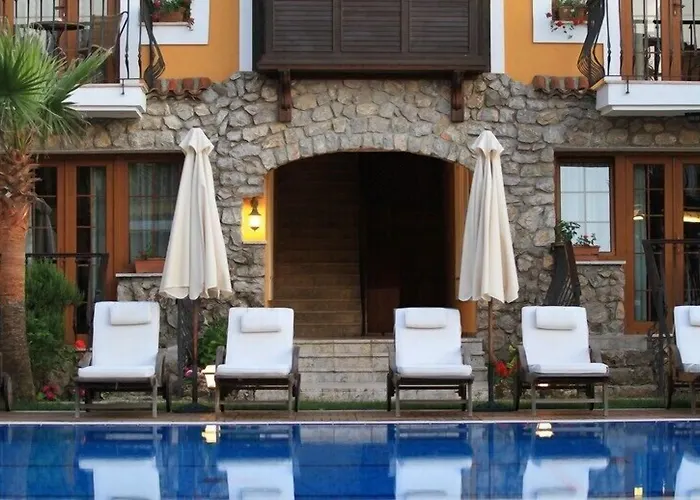 The Olive Tree (adults Only)