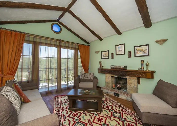 The Olive Tree (adults Only)