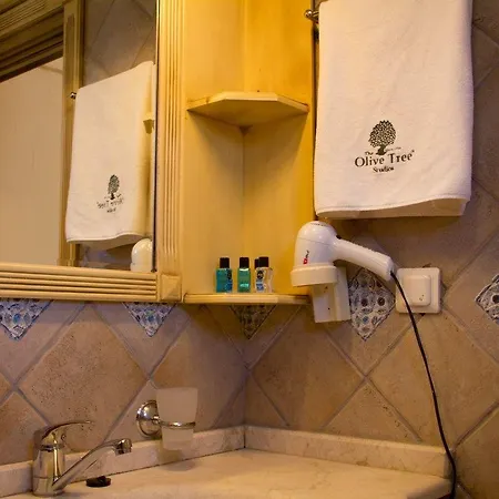 The Olive Tree (adults Only) 厄吕代尼兹