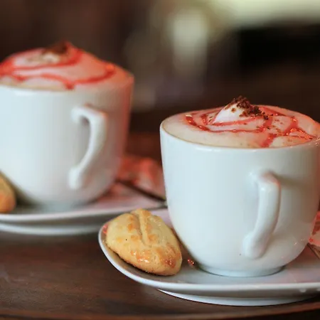 酒店 The Olive Tree (adults Only) 3*