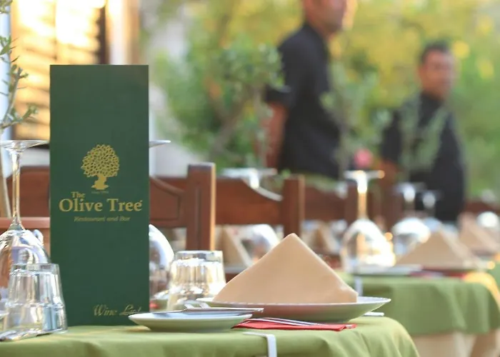 The Olive Tree (adults Only) Hotel Oludeniz