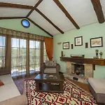 The Olive Tree (adults Only)