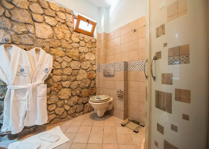 Hotel The Olive Tree (adults Only)